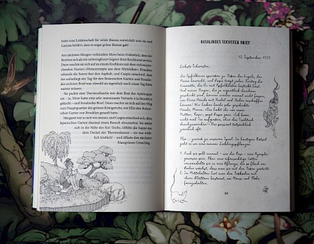 Illustrationen "Das grüne Königreich" (erschienen im Dressler Verlag)