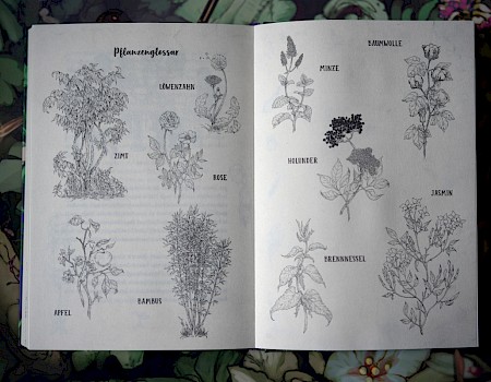 Ilustraciones "Das grüne Königreich", publicado por la editorial Dressler