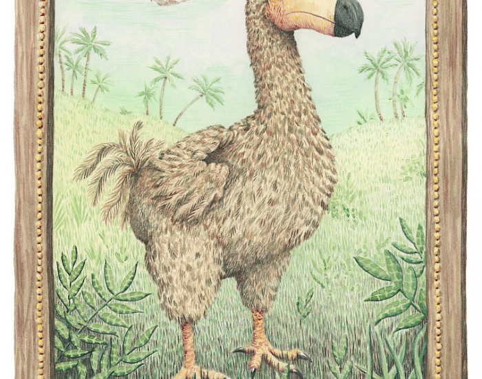 Dodo illustration from "De eenhoorn en andere fantastische dieren ..." | Lotte Stegeman | Luitingh-Sijthoff | 2020