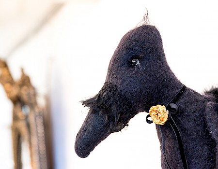 The noble raven Abraxas, like a scholar wearing a lapel flower (Photo: Michael Orth)