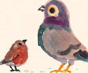 pigeon and robin