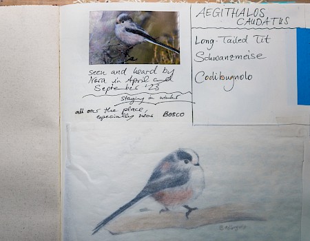 Artist: Clara Gazzarri / Photo: Michael Orth