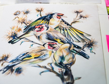 Artist: Julia Sophie Plath / Photo: Michael Orth