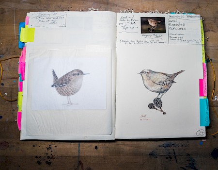 Artist: Oksana Bula / Photo: Michael Orth