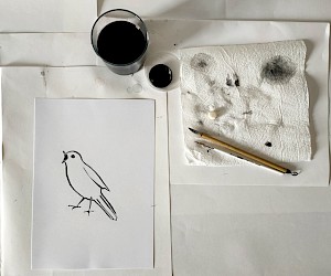 studio work "robin"
