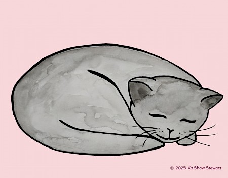 "kitten happy sleeping"