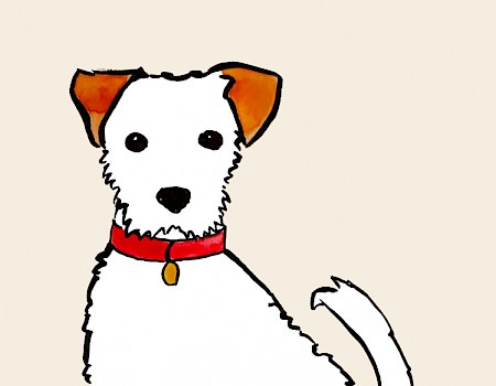 "doggo"