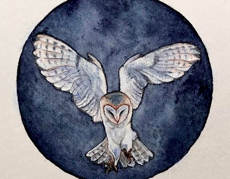 "A couple of owl paintings, one for my mum’s birthday card and another for a thank you card! I’ve really been enjoying painting these barn owls, I think I should paint some more birds in future."
