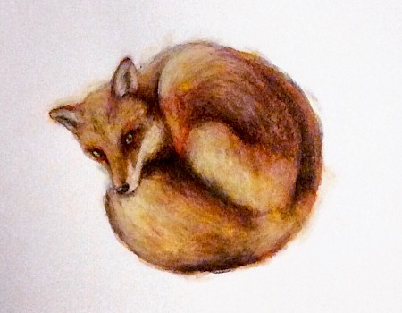 "fox"