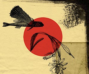 Fish, digital collage